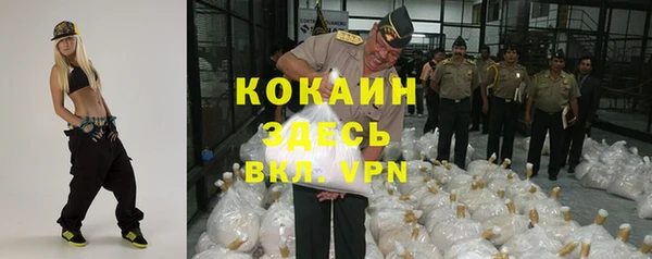 шишки Аркадак