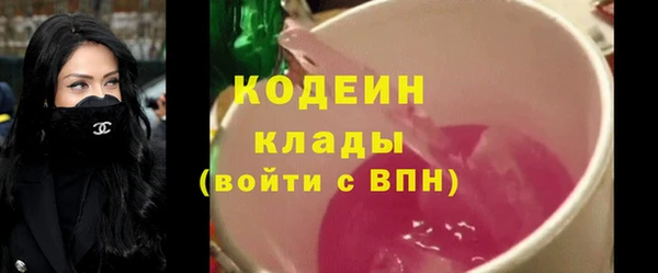 шишки Аркадак