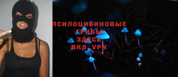 apvp Арсеньев