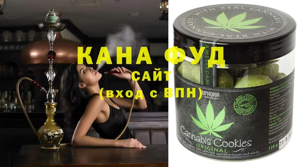 индика Алексин