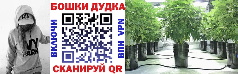Купить где  Кинель  Бошки марихуана сатива 